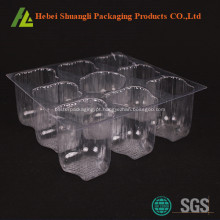 Caixas do queque em massa plástica transparente clara